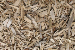 biomass boilers Willitoft